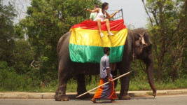 Jízda turistů na slonech, Srí Lanka autor Jitka Vokurková